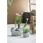 Кашпо A collection of baby rabbits варинант исполнения - 4 | Loft Concept в Воронеже