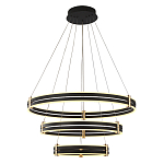 Люстра светодиодная с 3-мя плафонами в форме колец из акрила и алюминия с пультом для регулировки света Ring Horizontal Anthracite варинант исполнения - 1 | Loft Concept в Воронеже