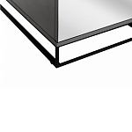 Двухдверный шкаф с зеркальными дверцами Strict Lines варинант исполнения - 4 | Loft Concept в Воронеже