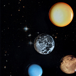 Блюдо Seletti Sun варинант исполнения - 6 | Loft Concept в Воронеже