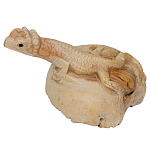 Статуэтка из дерева ящерица Animals of the World варинант исполнения - 2 | Loft Concept в Воронеже