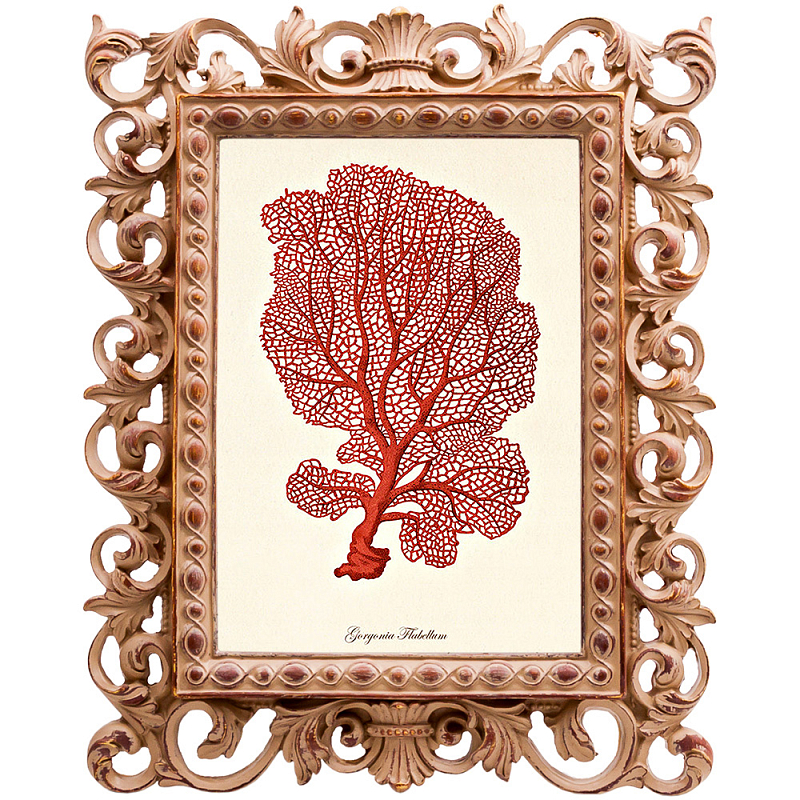 Постер Red Coral Poster 5 Бежевый Красный Постер Red Coral Poster 5 Бежевый Красный в Воронеже | Loft Concept