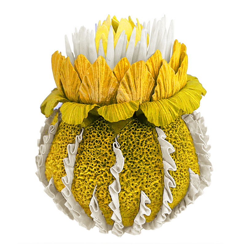 Желтый Экзотический фрукт Yellow Pandora Exotic Fruit 44 Желтый Желтый Экзотический фрукт Yellow Pandora Exotic Fruit 44 Желтый в Воронеже | Loft Concept
