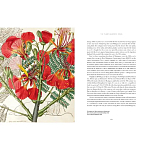 Прекрасно иллюстрированная книга более 100 ботанических произведений Plant Hunters Atlas варинант исполнения - 5 | Loft Concept в Воронеже