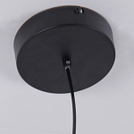 Люстра подвесная светодиодная черный металл Ring Horizontal варинант исполнения - 6 | Loft Concept в Воронеже