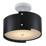 Потолочный светильник круглый светодиодный Semicircular White Panels чёрный варинант исполнения - 2 | Loft Concept в Воронеже