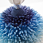 Статуэтка Синий тропический фрукт Tropical Fruit Pandora 4 варинант исполнения - 1 | Loft Concept в Воронеже