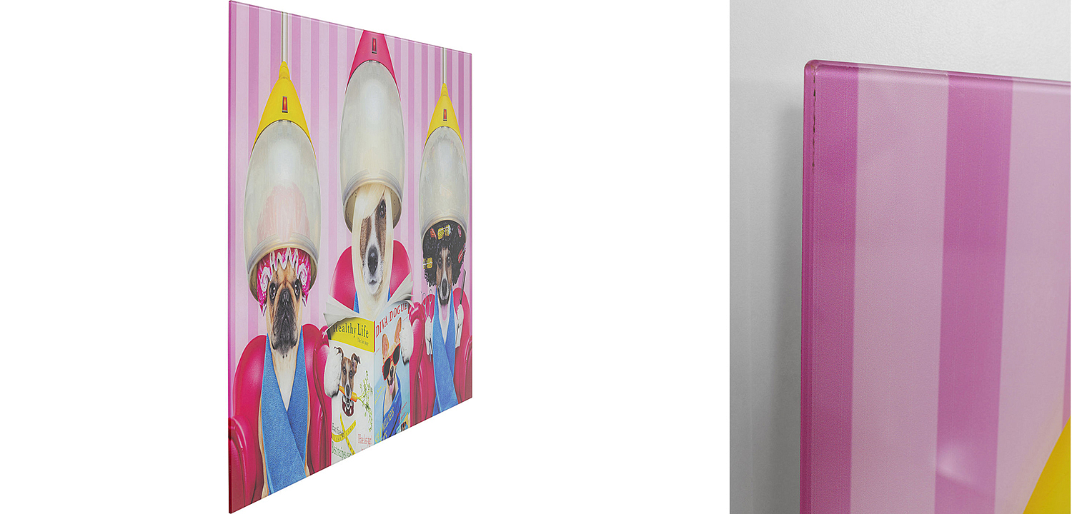 Картина Dogs in a beauty salon  - Loft-Concept в Воронеже