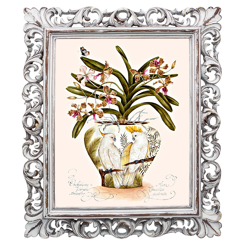 Постер White Parrots and Orchid Poster Мульти Белый винтажная патина   в Воронеже | Loft Concept 