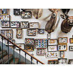 Книга Extraordinary Collections: French Interiors варинант исполнения - 11 | Loft Concept в Воронеже