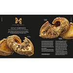 Книга Treasures of India From Antiquity to Modernity варинант исполнения - 3 | Loft Concept в Воронеже