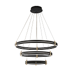 Люстра светодиодная с 3-мя плафонами в форме колец из акрила и алюминия с пультом для регулировки света Ring Horizontal Anthracite варинант исполнения - 6 | Loft Concept в Воронеже