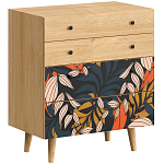 Комод с принтом на ящиках Elise Chest of Drawers варинант исполнения - 2 | Loft Concept в Воронеже