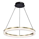 Люстра подвесная круглая светодиодная с золотым каркасом Ring Horizontal варинант исполнения - 3 | Loft Concept в Воронеже