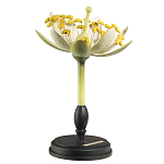 Статуэтка Tilia варинант исполнения - 2 | Loft Concept в Воронеже