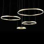 Люстра подвесная светодиодная Jewelry Ring варинант исполнения - 4 | Loft Concept в Воронеже