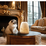 Настольная лампа в форме трапеции из натурального камня Soft Glow of Stone варинант исполнения - 5 | Loft Concept в Воронеже