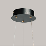 Люстра с прозрачным волнистым плафоном в форме цветка Ethereal Bloom варинант исполнения - 11 | Loft Concept в Воронеже