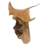 Статуэтка из дерева скат Animals of the World варинант исполнения - 2 | Loft Concept в Воронеже