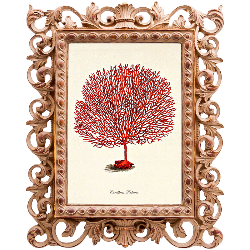 Постер Red Coral Poster 3 Бежевый Красный Постер Red Coral Poster 3 Бежевый Красный в Воронеже | Loft Concept