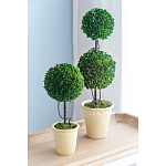 Декоративный искусственное растение Single boxwood варинант исполнения - 9 | Loft Concept в Воронеже