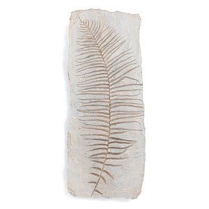 Аксессуар на стену Tropical Leaf