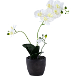 Декоративный искусственное растение Angel Orchid варинант исполнения - 1 | Loft Concept в Воронеже