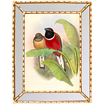 Постер с изображением птиц и цветов в зеркальной раме Blooming Birds Poster варинант исполнения - 6 | Loft Concept в Воронеже