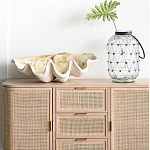 Блюдо декоративное в виде ракушки Seashell варинант исполнения - 1 | Loft Concept в Воронеже