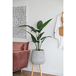 Декоративный искусственное растение Decor Stile  варинант исполнения - 6 | Loft Concept в Воронеже