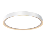 Потолочный светильник Incognito 2700-4000К 46Вт варинант исполнения - 1 | Loft Concept в Воронеже