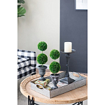 Декоративный искусственное растение Double boxwood варинант исполнения - 8 | Loft Concept в Воронеже