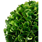 Декоративный искусственное растение Single boxwood варинант исполнения - 2 | Loft Concept в Воронеже