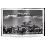 Книга Beusker. Look into my Eyes варинант исполнения - 2 | Loft Concept в Воронеже