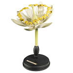 Статуэтка Tilia варинант исполнения - 3 | Loft Concept в Воронеже