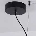 Люстра подвесная светодиодная черный металл Ring Horizontal варинант исполнения - 13 | Loft Concept в Воронеже