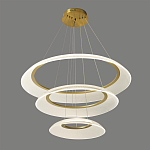 Люстра подвесная с 3-мя кольцевыми светодиодными лампами Catcher варинант исполнения - 1 | Loft Concept в Воронеже