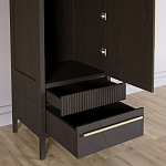 Узкий Шкаф Primo с 2 выдвижными ящиками Темный орех варинант исполнения - 5 | Loft Concept в Воронеже