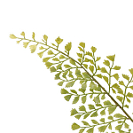 Декоративный искусственное растение Dried flower варинант исполнения - 3 | Loft Concept в Воронеже