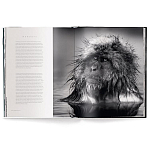 Книга Beusker. Look into my Eyes варинант исполнения - 3 | Loft Concept в Воронеже