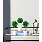 Декоративный искусственное растение Boxwood One варинант исполнения - 9 | Loft Concept в Воронеже