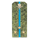 Сувенир Погон Старший Лейтенант ВДВ из натурального камня змеевик Souvenir Epaulets варинант исполнения - 1 | Loft Concept в Воронеже