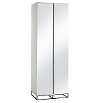 Двухдверный шкаф с зеркальными дверцами Strict Lines варинант исполнения - 5 | Loft Concept в Воронеже