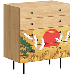 Комод с принтом на ящиках Elise Chest of Drawers варинант исполнения - 4 | Loft Concept в Воронеже