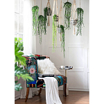 Диван Mesotrope варинант исполнения - 7 | Loft Concept в Воронеже