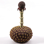 Статуэтка тропический фрукт Pandora Tropical Fruit Brown варинант исполнения - 2 | Loft Concept в Воронеже