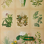 Обои ручная роспись Botanical Studies Linnaeus colourway варинант исполнения - 3 | Loft Concept в Воронеже