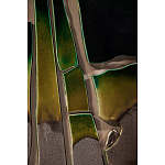 Панно «Амазония» варинант исполнения - 3 | Loft Concept в Воронеже