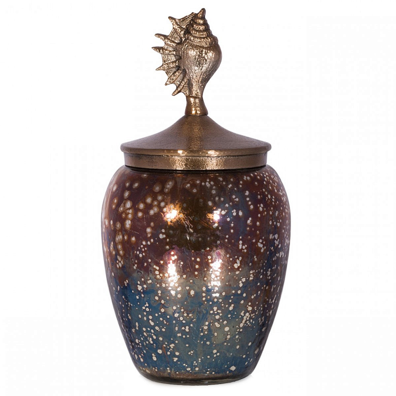 БАНКА С КРЫШКОЙ SEA SHELL COSMOS Золотой Коричневый БАНКА С КРЫШКОЙ SEA SHELL COSMOS Золотой Коричневый в Воронеже | Loft Concept