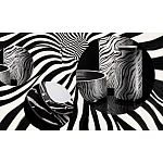 Редкое коллекционное издание Casa Cavalli Home: Celebrating the Roberto Cavalli Lifestyle Зебра варинант исполнения - 4 | Loft Concept в Воронеже